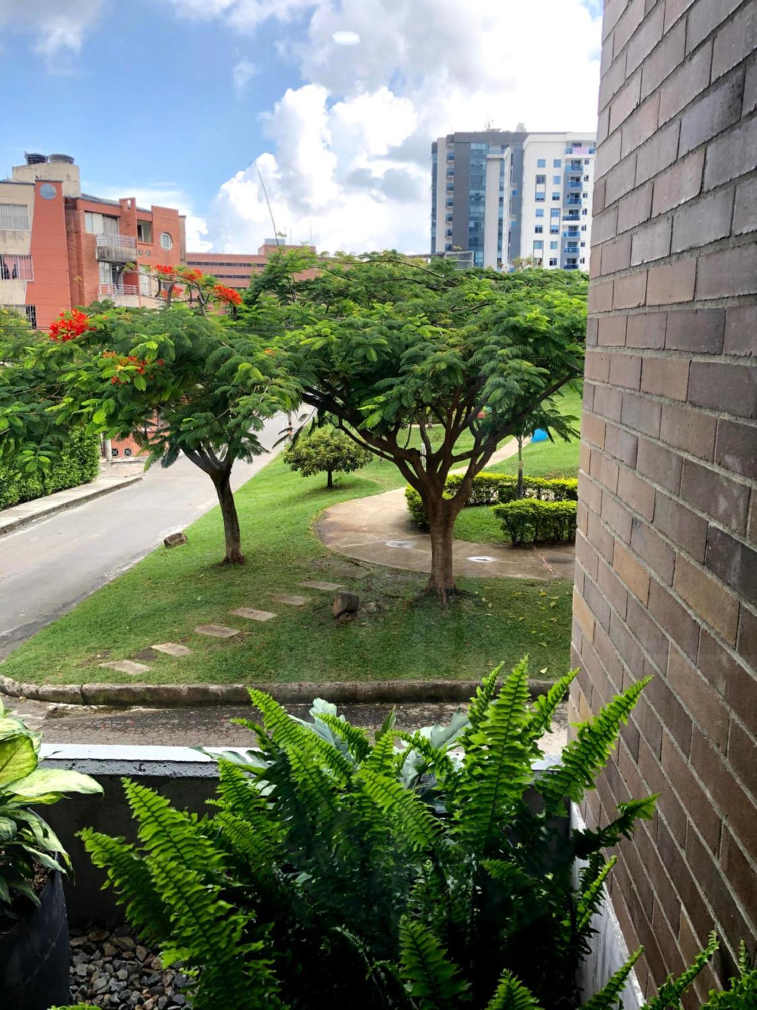 City Star Ibagué Exteriér fotografie
